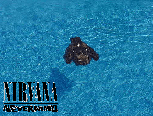 Alas, Owls Cannot&nbsp;Swim!