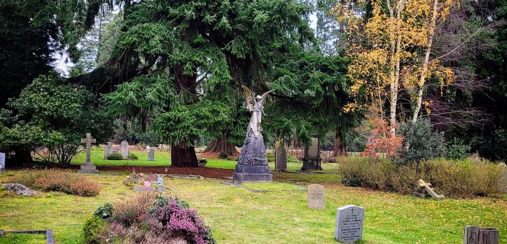 A Ballad for&nbsp;Brookwood