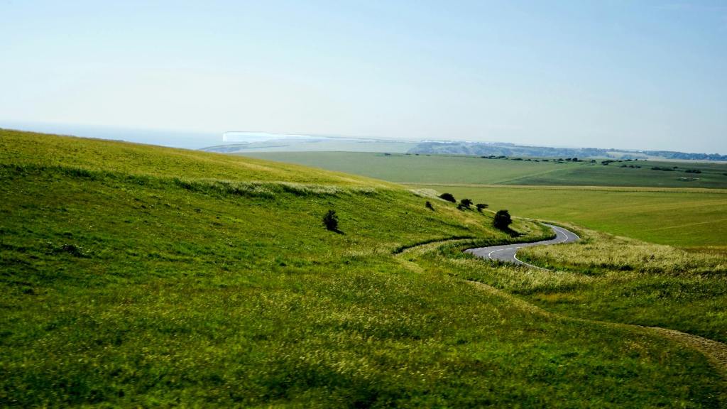 Walking the South Downs with Suz Collins 